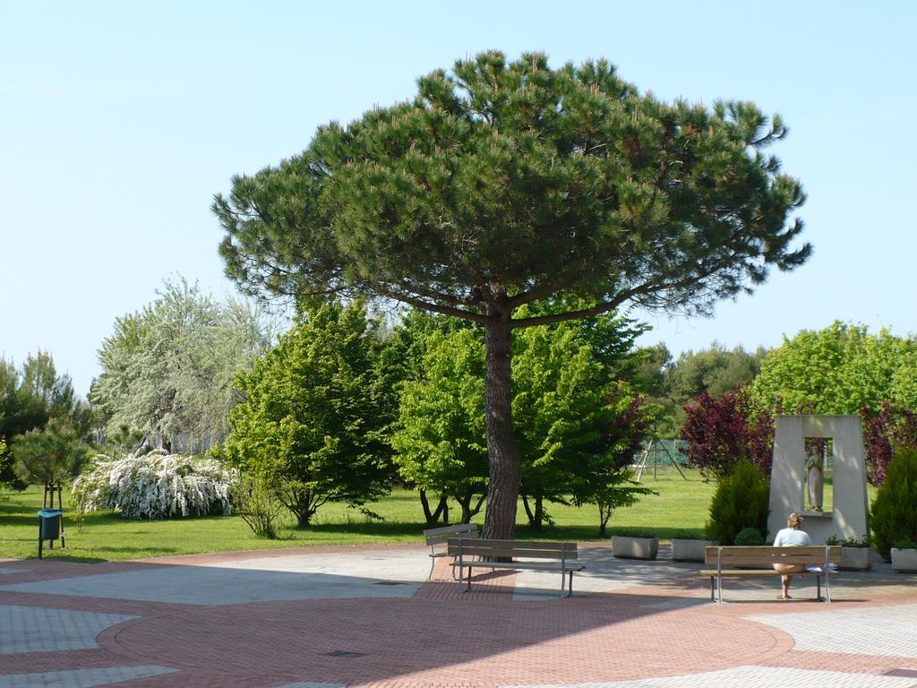Hotel Casa Per Ferie Maria Assunta Lido di Jesolo Exteriér fotografie